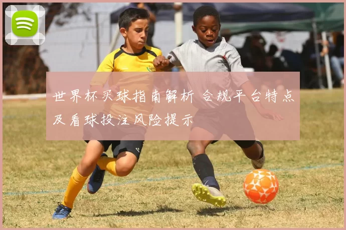 世界杯买球指南解析 合规平台特点及看球投注风险提示