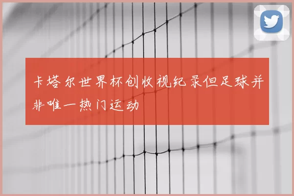 卡塔尔世界杯创收视纪录但足球并非唯一热门运动